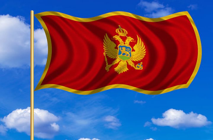 CRNOGORSKA DIJASPORA PROTIV IZMJENA ZAKONA