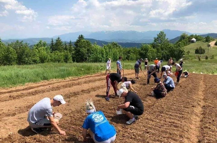 ZASADILI LUK ZA NARODNU KUHINJU