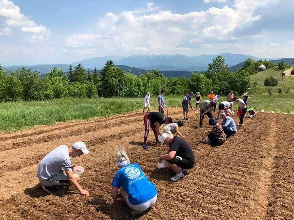 ZASADILI LUK ZA NARODNU KUHINJU