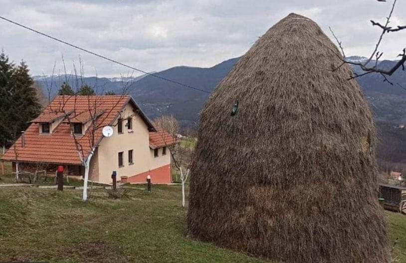 vbp-ruralni-razvoj