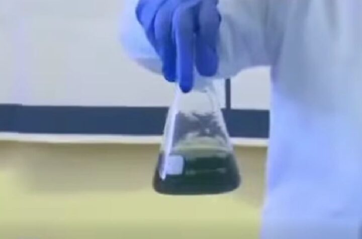 bijelo-polje-učenici-hemija