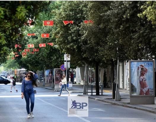 nezavisnost-crna-gora-opštine