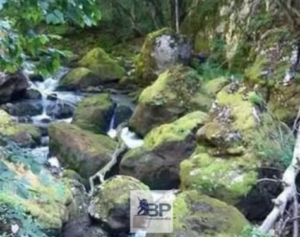 sjever-me-đalović-pećina