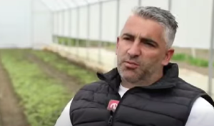 vijesti--bp-alen-omerović