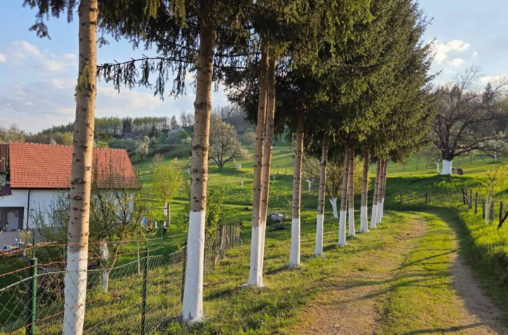 vijesti-bp-bajram-balić