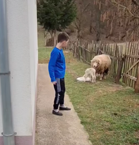 vijesti-bp-daris-kos-bistrica