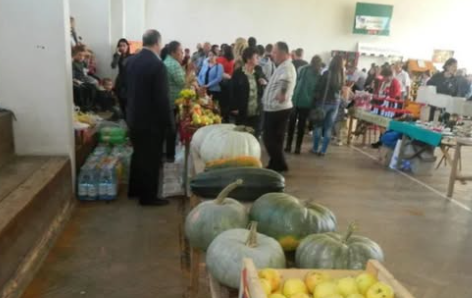 vijesti-bp-poljoprivreda-berane