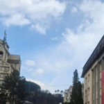 vijesti-bp-uginuće-zivotinja