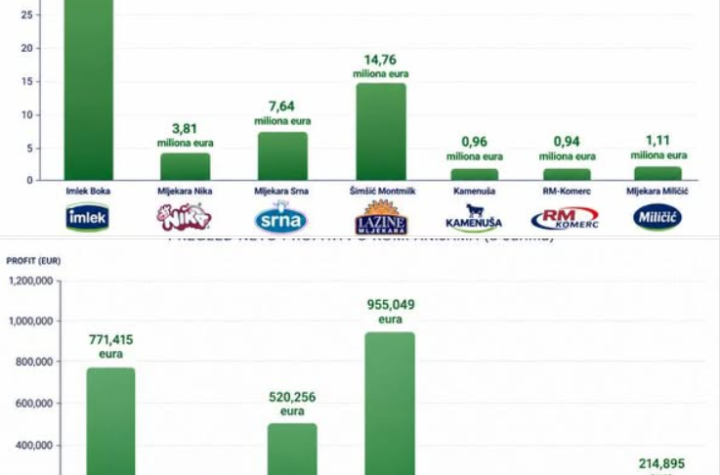 vijesti-bp-profit-raste-ali-uvoz-drzi-tziste
